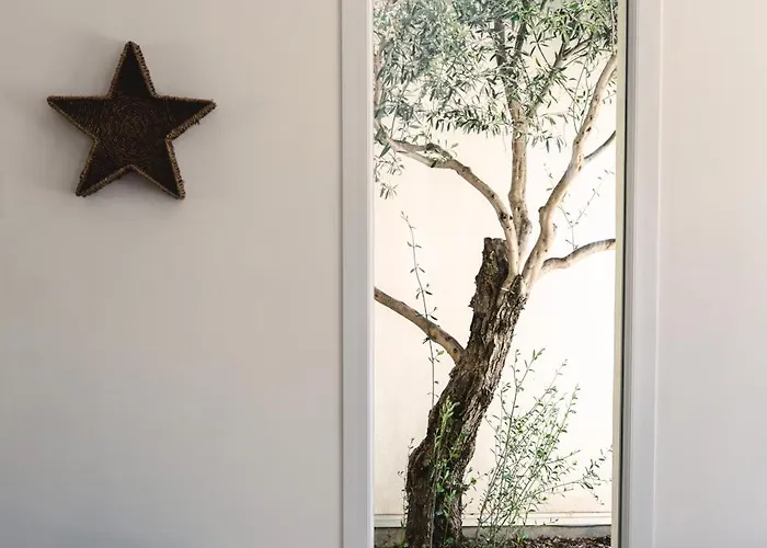 De Standing Fiurenza - Domaine Romella - Piscine - Proche Saint-florent Oletta (Corsica)